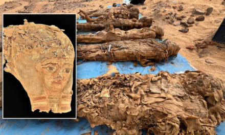Archaeologists excavate haunting ‘City of the Dead’ packed with hundreds of tombs