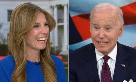 MSNBC host gushes over Biden in fawning interview with White House spokesman: ‘You don’t have to persuade me’