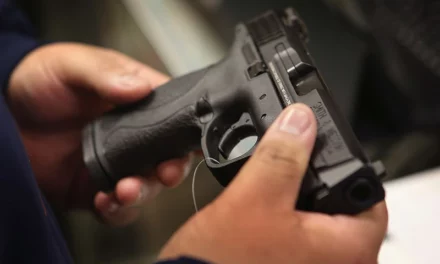 California Is Now The First State to Charge An 11-Percent Excise Tax For Guns & Ammunition