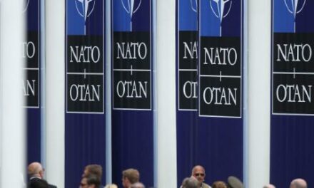 NATO expected to lay out plan to prepare Ukraine for membership during upcoming summit