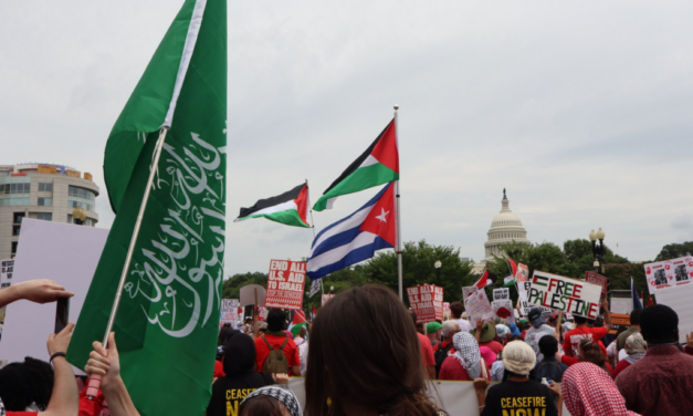 ‘Zero Tolerance’: Republican Files Bill to Deport Pro-Hamas Migrants After DC Riot