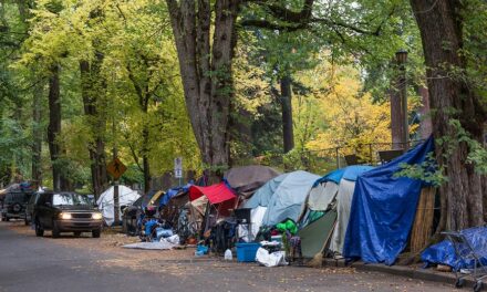 Some Democrats call for changes to homeless camping laws as ‘uncertainty’ follows Supreme Court ruling