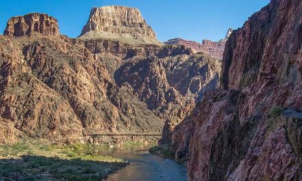 Texas hiker dies on trail at Grand Canyon National Park; officials warn of extreme heat