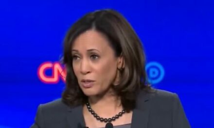 Trump Describes Kamala Harris as ‘Vicious and Dumb,’ Says Those Traits Are A ‘Bad Combination’