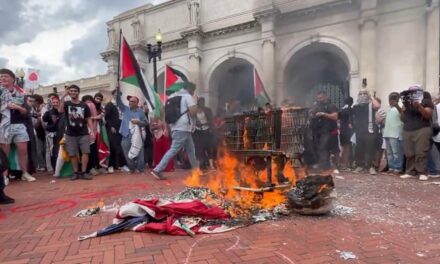 Anti-Israel Protesters Tear Down US Flags, Burn Them, Raise Palestinian Flags Blocks From Capitol