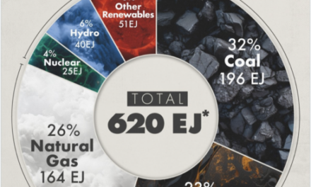 The Daily Chart: World Energy Sources