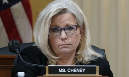 Someone’s NERVOUS –> Liz Cheney SNAPS at Trump for Posting Meme That Hits TOO CLOSE to Home for Her