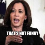 ARGLE BARGLE REEE! Lefties Can’t DEAL WITH NY Post’s BRUTAL Honesty About Literal DEI Hire Kamala Harris