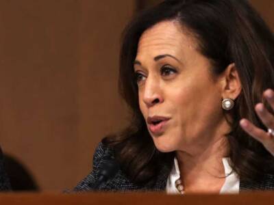 DEMOCRACY IS DEAD: Dems Throw Out Elections for Harris | Steve Berman