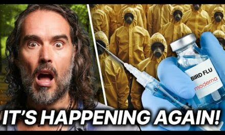 It’s Happening – THIS Is How The Next Pandemic Begins