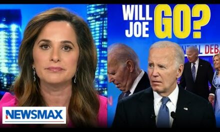 Lidia Curanaj: Democrats are turning on Joe Biden