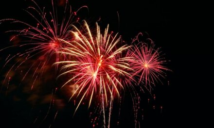 California teenager loses fingers from fireworks in July 4 celebration: reports
