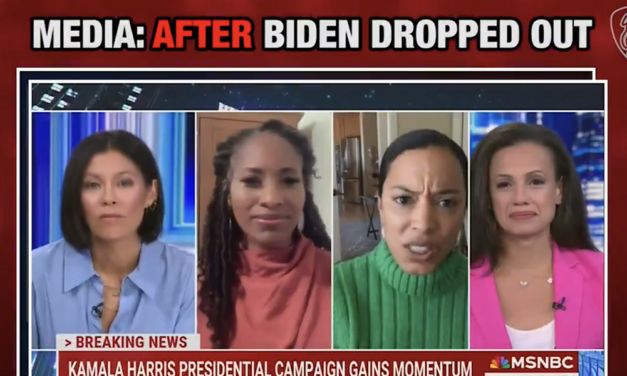 Watch: Devastating mash-up about “border czar” Kamala Harris shows as much as you hate the media, it’s not enough