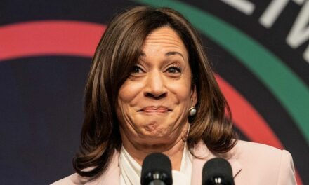 Gen Z meme queen? Here’s what’s REALLY going on with the sudden “movement” around Kamala Harris