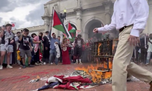 Watch: Amidst the pro-Hamas progressives, a hero tries to save a burning American Flag