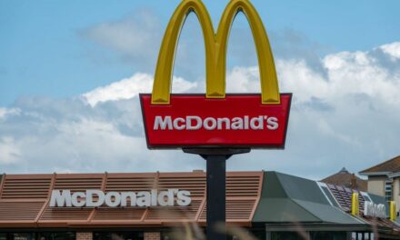 McDonald’s ditched meat-free burger in US because of poor sales, executive admits