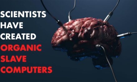 Scientists Create Organic Slave Computers! (What Could Go Wrong?)