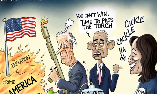 A.F. Branco Cartoon – The Pyro Party