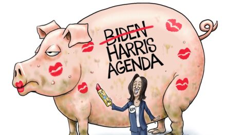 A.F. Branco Cartoon – The MakeOver