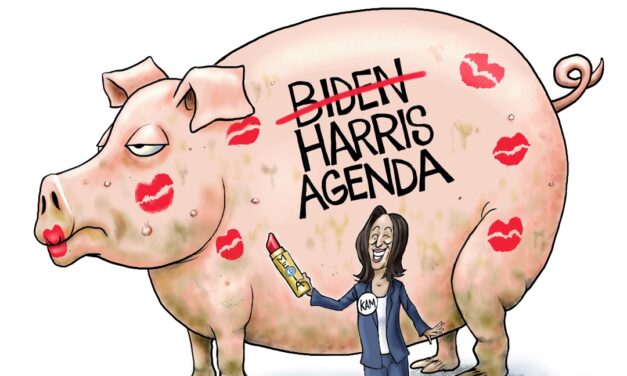 A.F. Branco Cartoon – The MakeOver