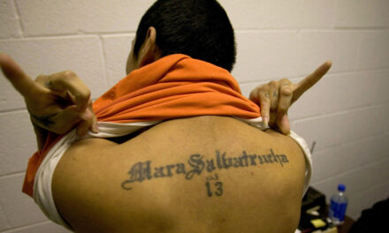 MS-13 Gang Member Charged With Shooting Spree Was Booted From US Years Earlier, ICE Confirms