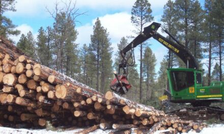 Rural School Districts Within US National Forests Brace for Funding Loss