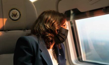 Kamala Harris Spends Flight Looking For Cloud Where Her Data Is Stored