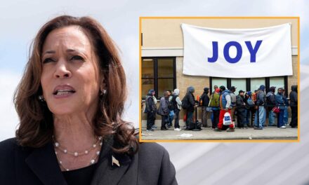 Touching: Kamala Announces Plan To Hang ‘Joy’ Sign Above Bread Lines