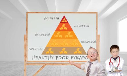 Toddler Scientists Release Food Pyramid That’s Entirely Made Out Of Goldfish