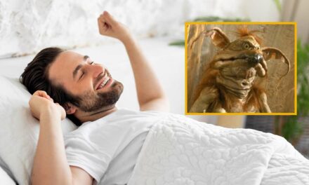 Man Wakes Up From Awesome Dream Where He Was On ‘Jeopardy’ And The Final Clue Was ‘This Monkey-Lizard Creature Sat Next To Jabba The Hutt And Served As His Laughing Jester’