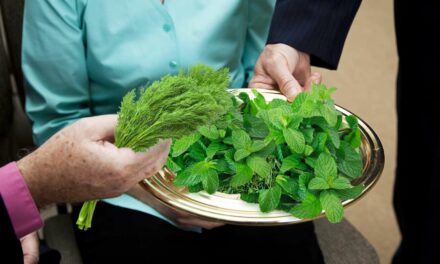 Pastor Gently Asks Congregation to Stop Actually Tithing A Tenth Of Their Mint, Dill, And Cumin