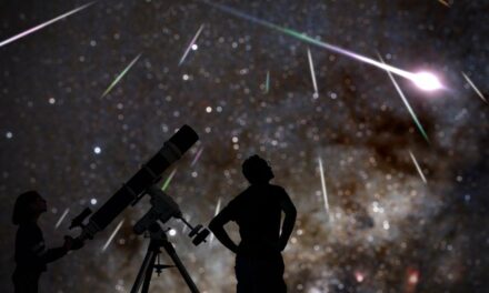 Family Unsure If Watching Beautiful Meteor Shower Or Just Boeing Plane