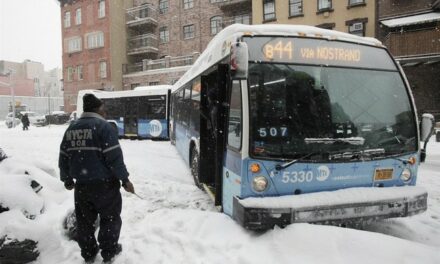 ‘It Feels Lawless’: Only Half of Bus Riders in NYC Pay the Fare