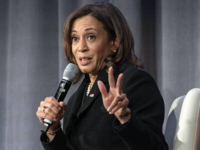 FLASHBACK: Kamala Calls Border Wall a ‘Medieval Vanity Project’