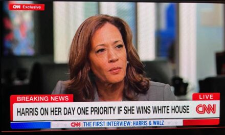 CNN Didn’t Interview Kamala Harris, It Swaddled Her In A Security Blanket