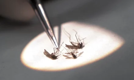 2 Dead From West Nile Virus In N.J, U.S. Death Toll Rises To 5