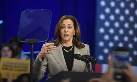 Kamala Harris Wants Amnesty And Open Borders, Not A Secure Border