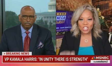 FALSE! MSNBC Commentator Tara Setmayer Claims Republicans Don’t Chant ‘USA’??