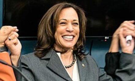 Poll: Majority Strongly Opposes Noncitizens Voting and Blame Kamala Harris for Border Crisis