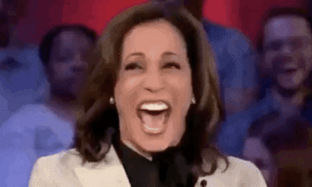 This woman at a “mixed-race” MSNBC focus group on Kamala just made my day: “I want to see you do more than giggling & having a ‘girl moment'”