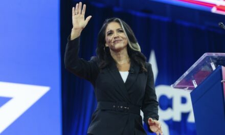 Tulsi Gabbard Twists the Knife