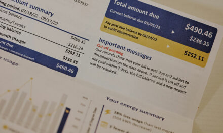 1 More Way the Administration’s ‘Green’ Electricity Plan Will Cost Consumers Big