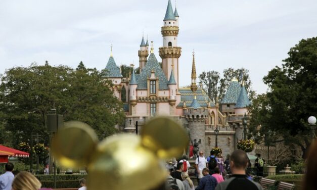 This Disney Wrongful Death Lawsuit is Simply Absurd