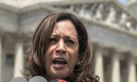 Axios: Harris to Propose Building That ‘Un-American’ Border Wall … Sorta