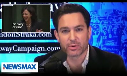 We still have no idea what Kamala Harris is offering: Brandon Straka | Newsline