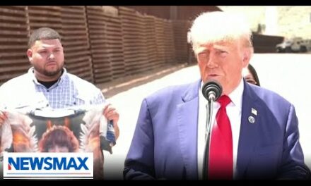 Trump at the border: Illegal aliens are taking black, Hispanic jobs