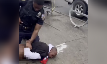 Watch: NY cop pulls pants down of repeat offending thug after he sucker punched female officer