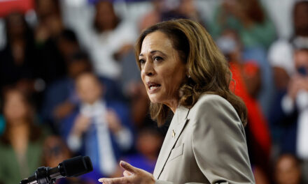 Kamala Harris Blames Price Gouging for High Cost of Living Under Biden