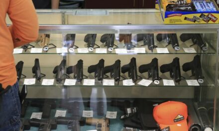 Want to Know Why More Americans Are Buying Guns? Check Out This Study.