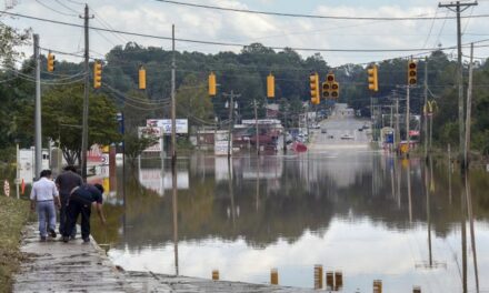 Politicians Are Hindering Rescue Efforts in North Carolina, and One Rescuer Has Had Enough